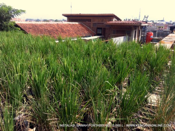 Instalasi Sawah Portabel (7)